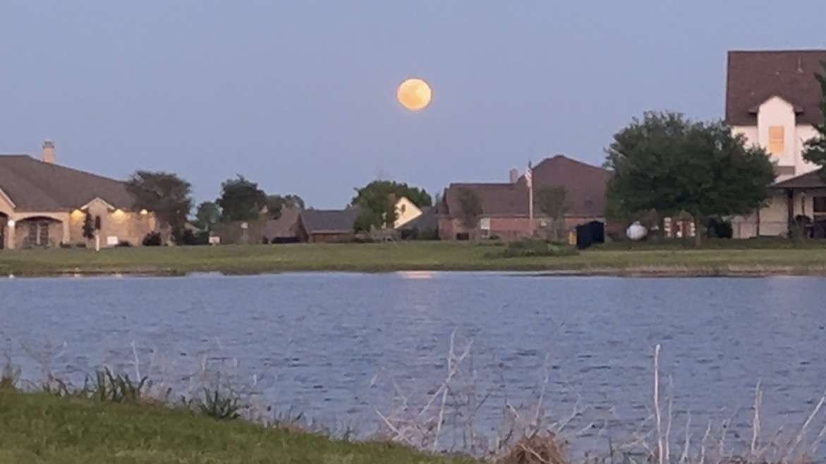 44 Mirror Lakes Court Gunter TX 75058