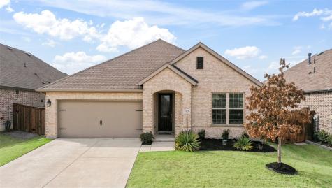 3925 Primrose Drive Aubrey TX 76227