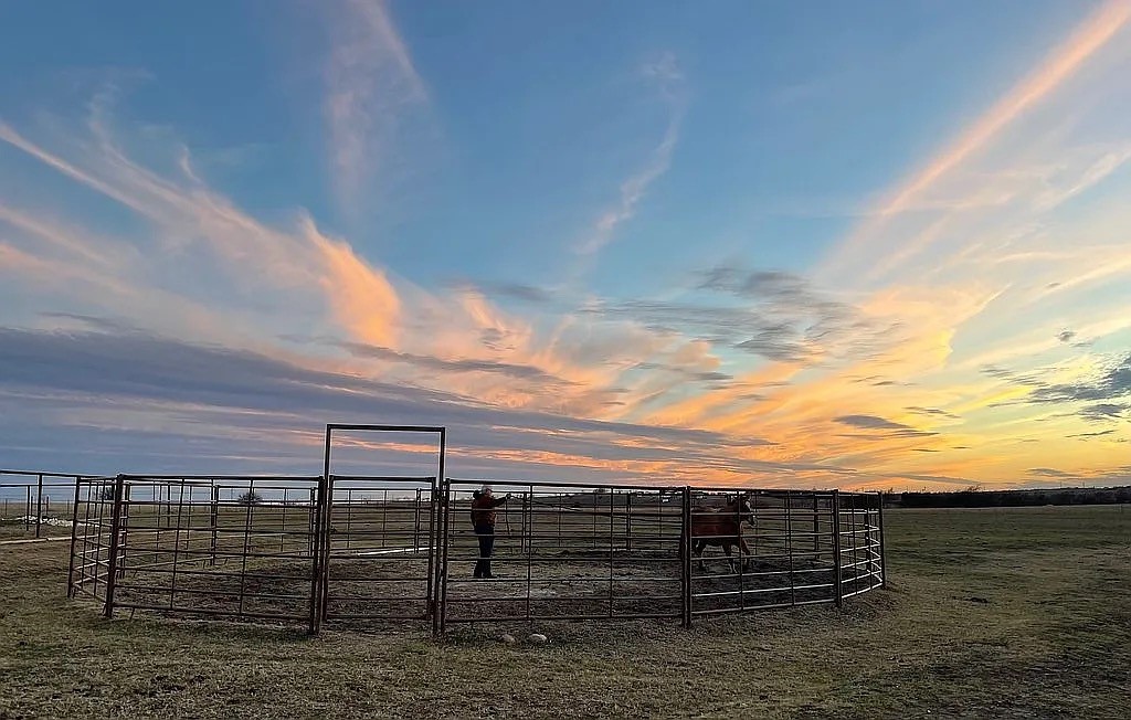 8928 County Road 1232 Godley TX 76044