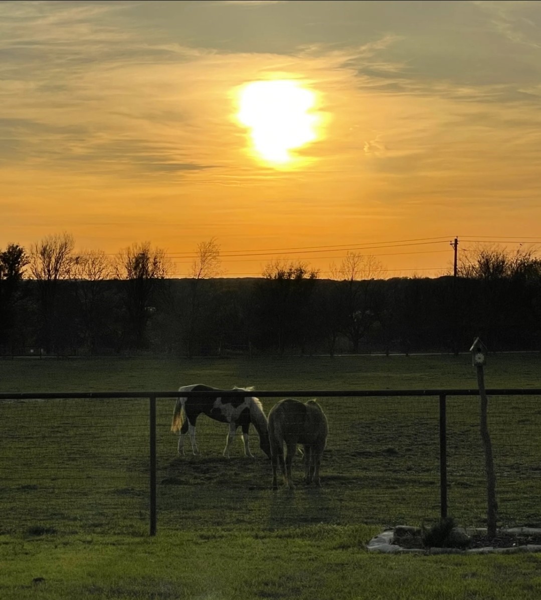 8928 County Road 1232 Godley TX 76044