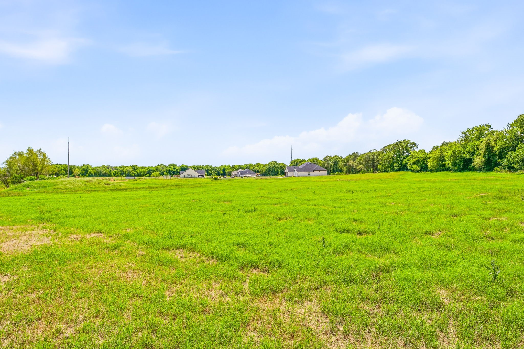 9123 Safari Court Tolar TX 76476