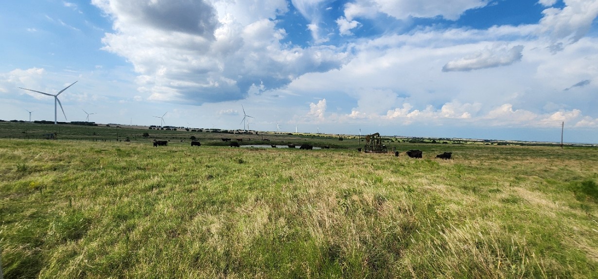 1397 Cr 338 Gainesville TX 76240