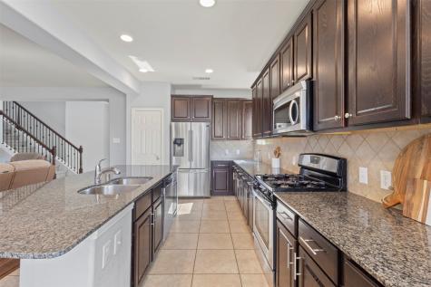 1729 Shoebill Drive Little Elm TX 75068