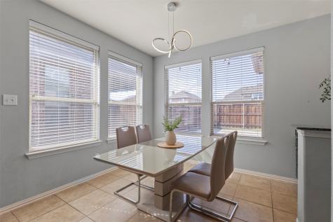 1729 Shoebill Drive Little Elm TX 75068