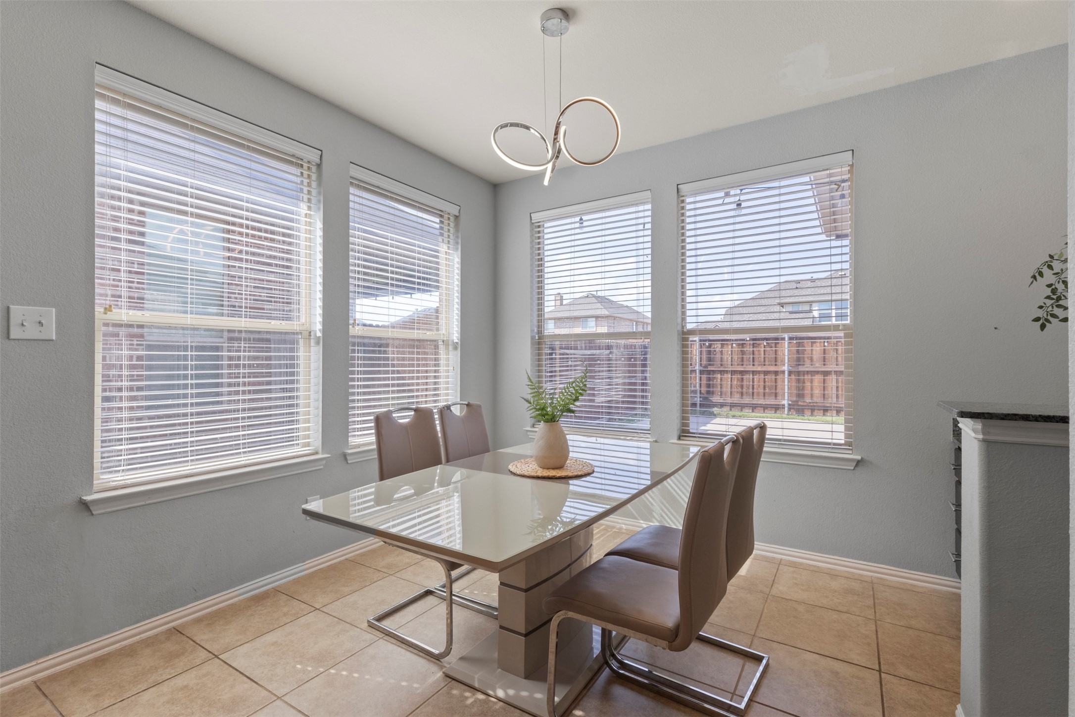 1729 Shoebill Drive Little Elm TX 75068