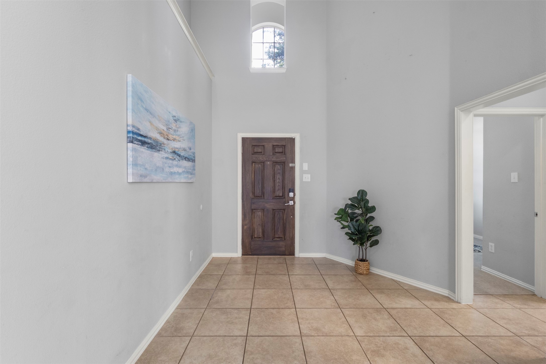 1729 Shoebill Drive Little Elm TX 75068