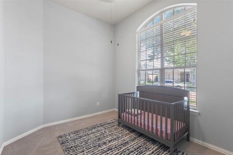 1729 Shoebill Drive Little Elm TX 75068