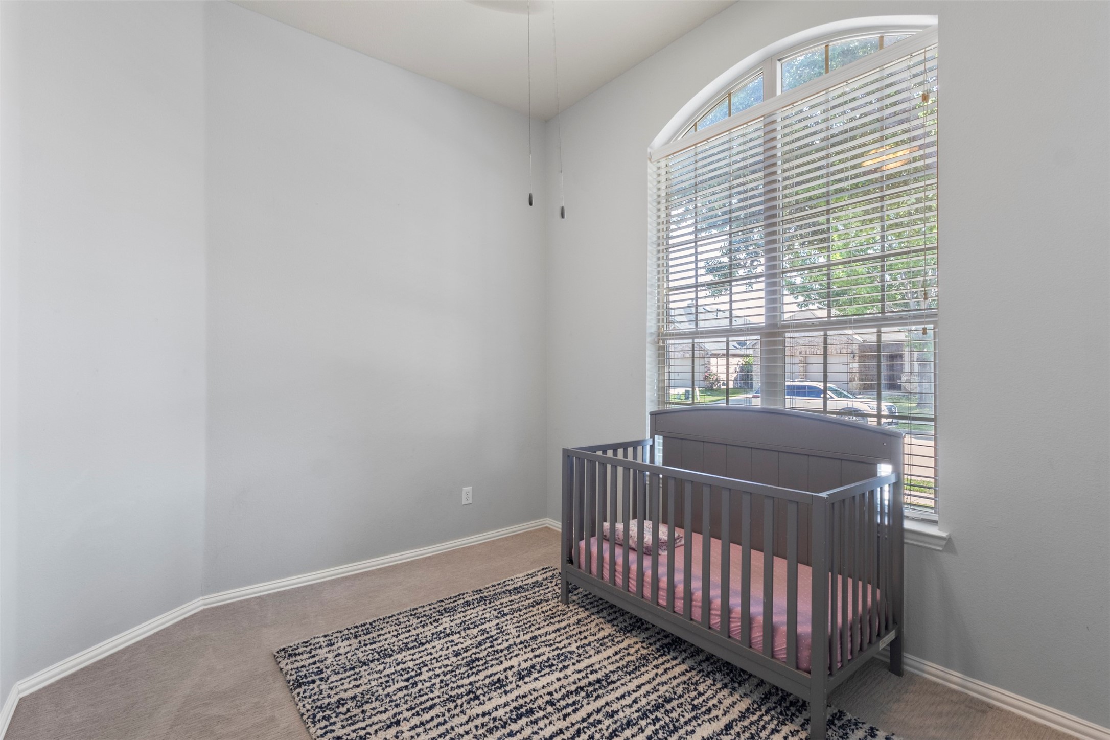 1729 Shoebill Drive Little Elm TX 75068