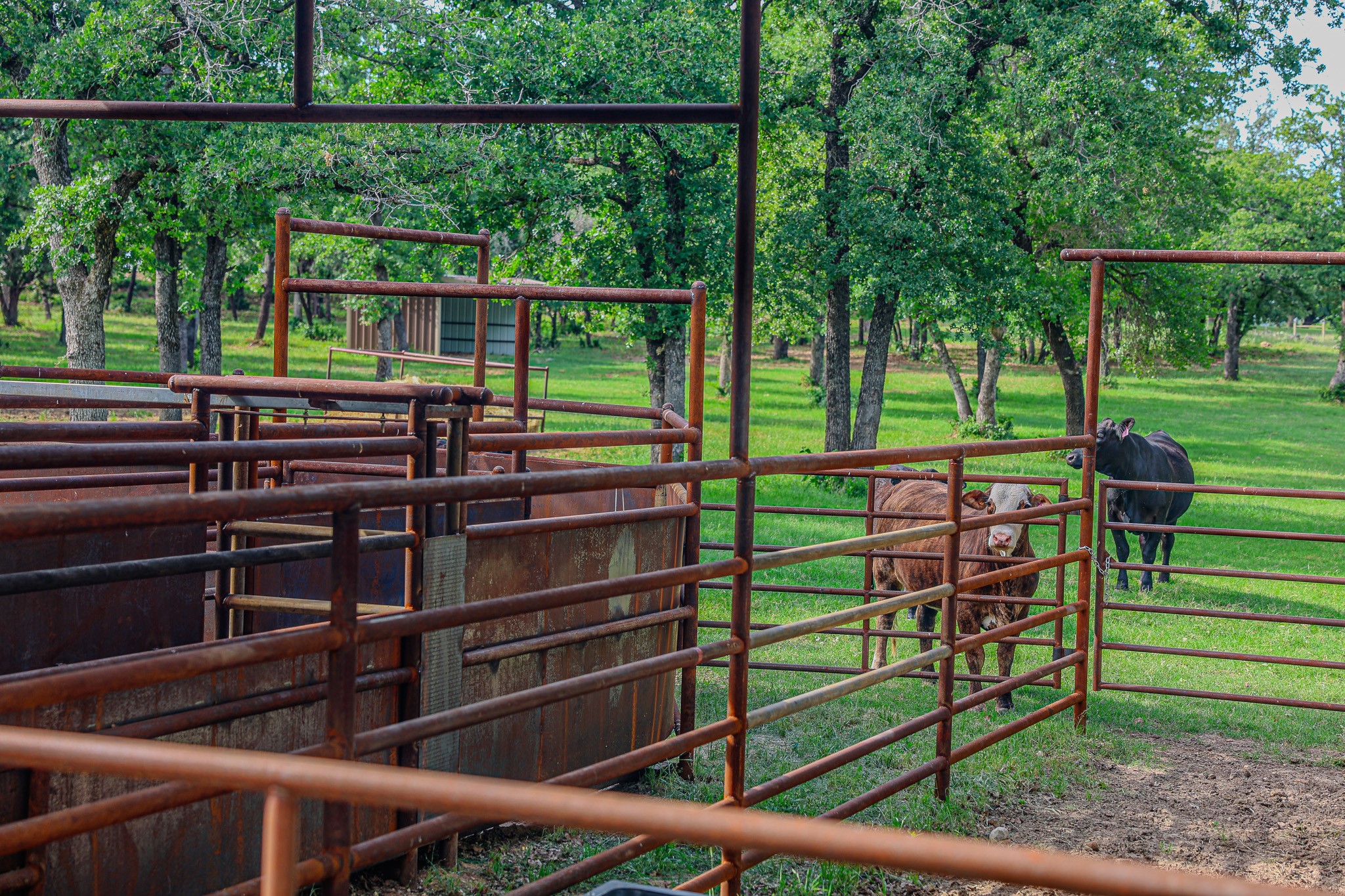 6085 County Road 146 Lipan TX 76462