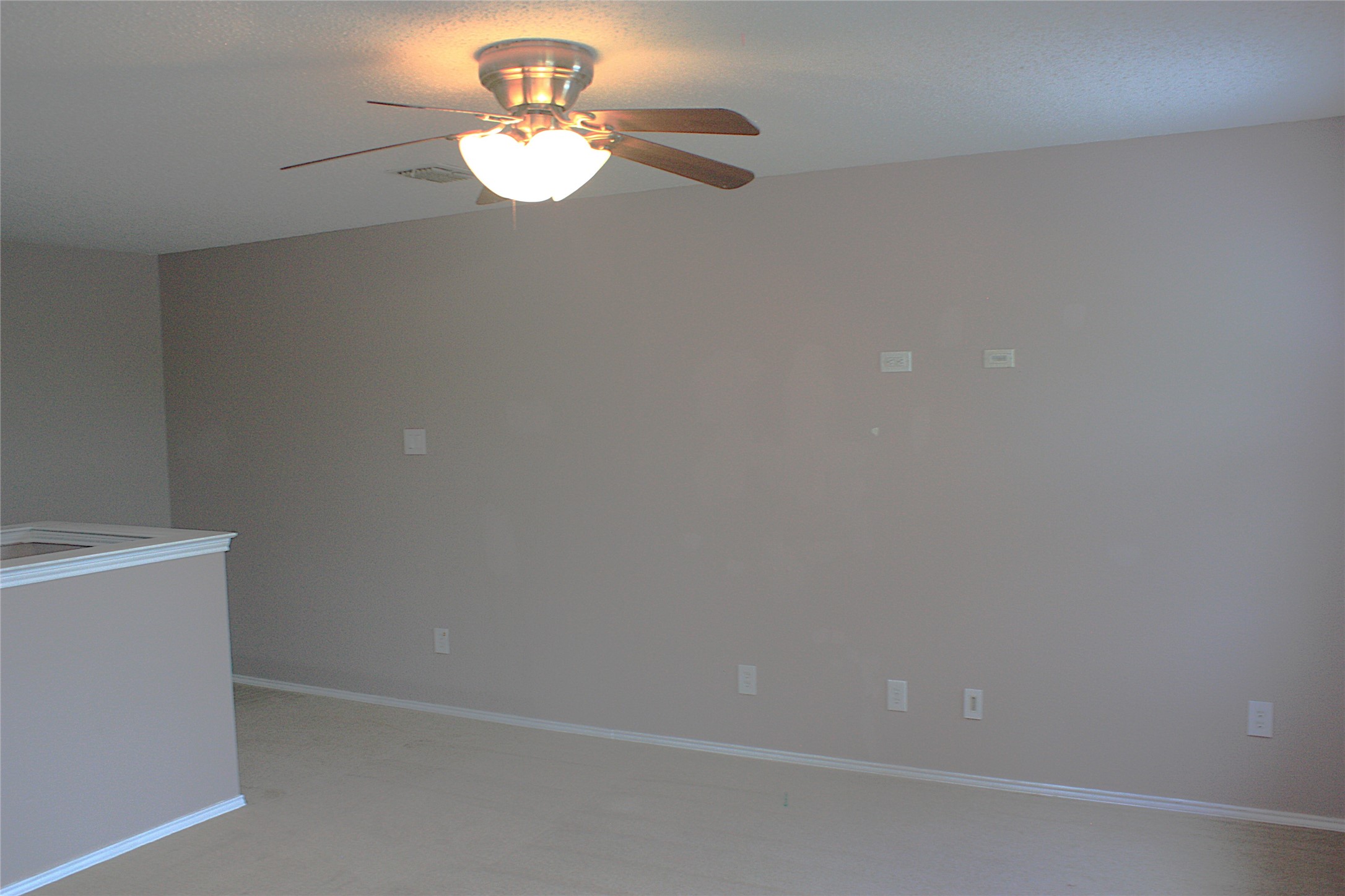 1328 Dandelion Trail Burleson TX 76028