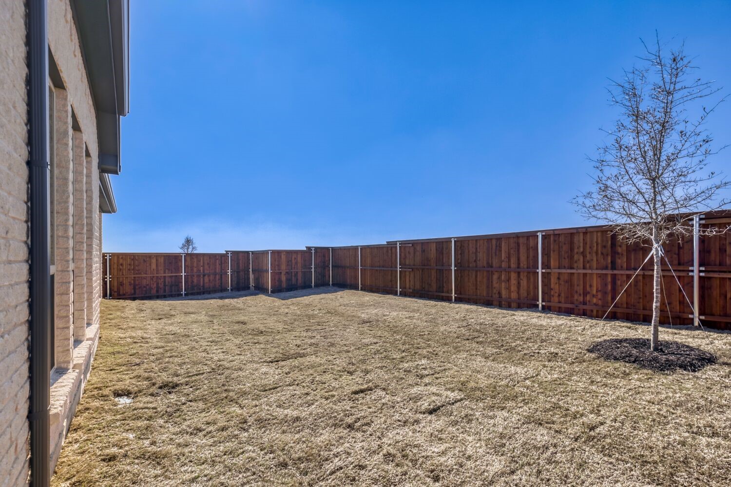2227 Prickly Cactus Drive Forney TX 75126