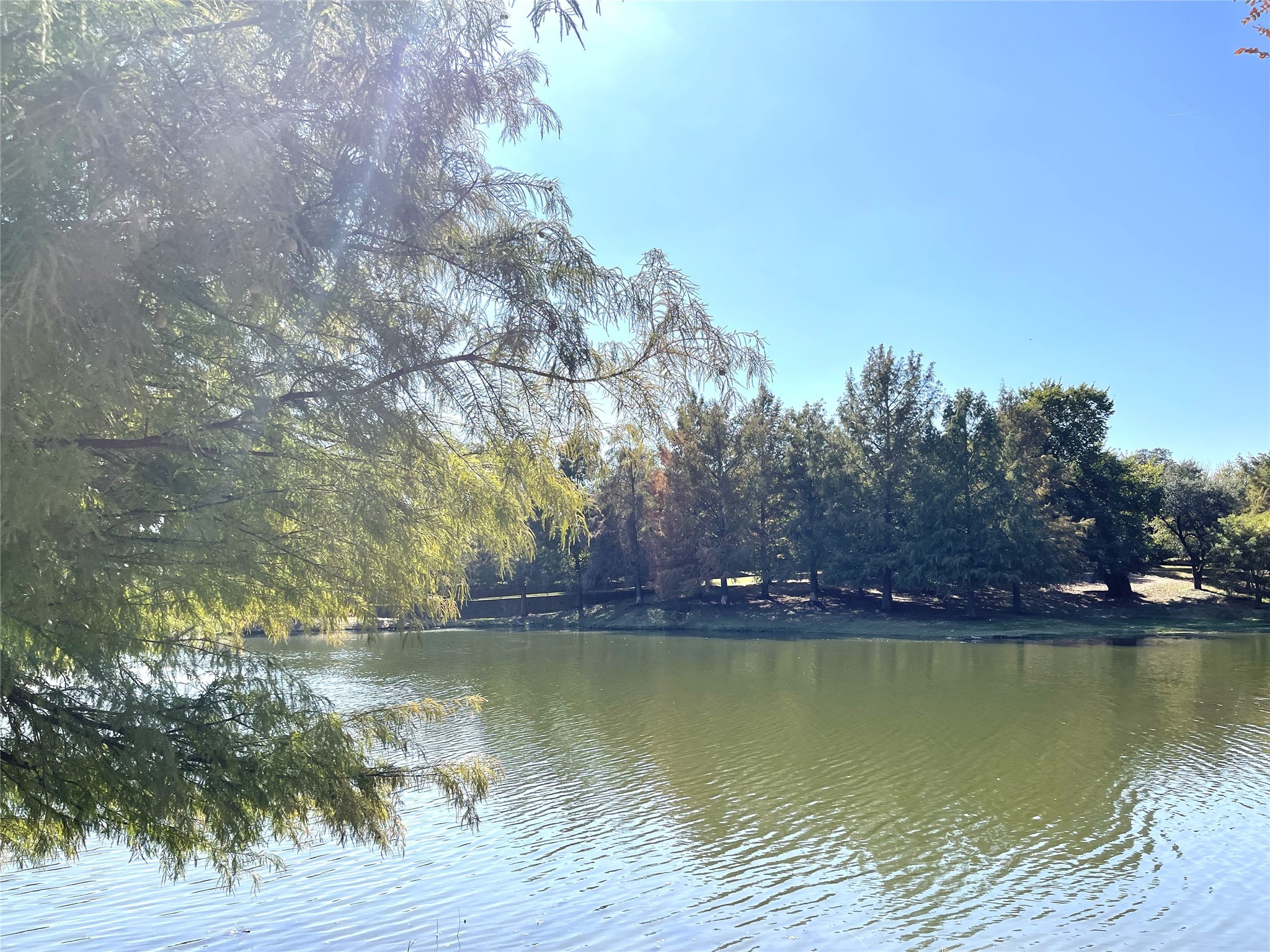 1840 Audubon Pond Way Allen TX 75013