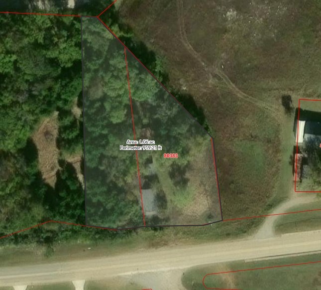 402 W Fannin Street Leonard TX 75452
