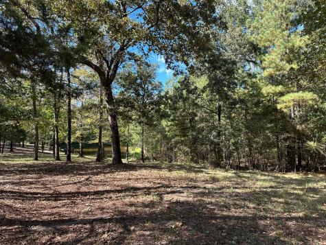 11420 County Road 420 Tyler TX 75704