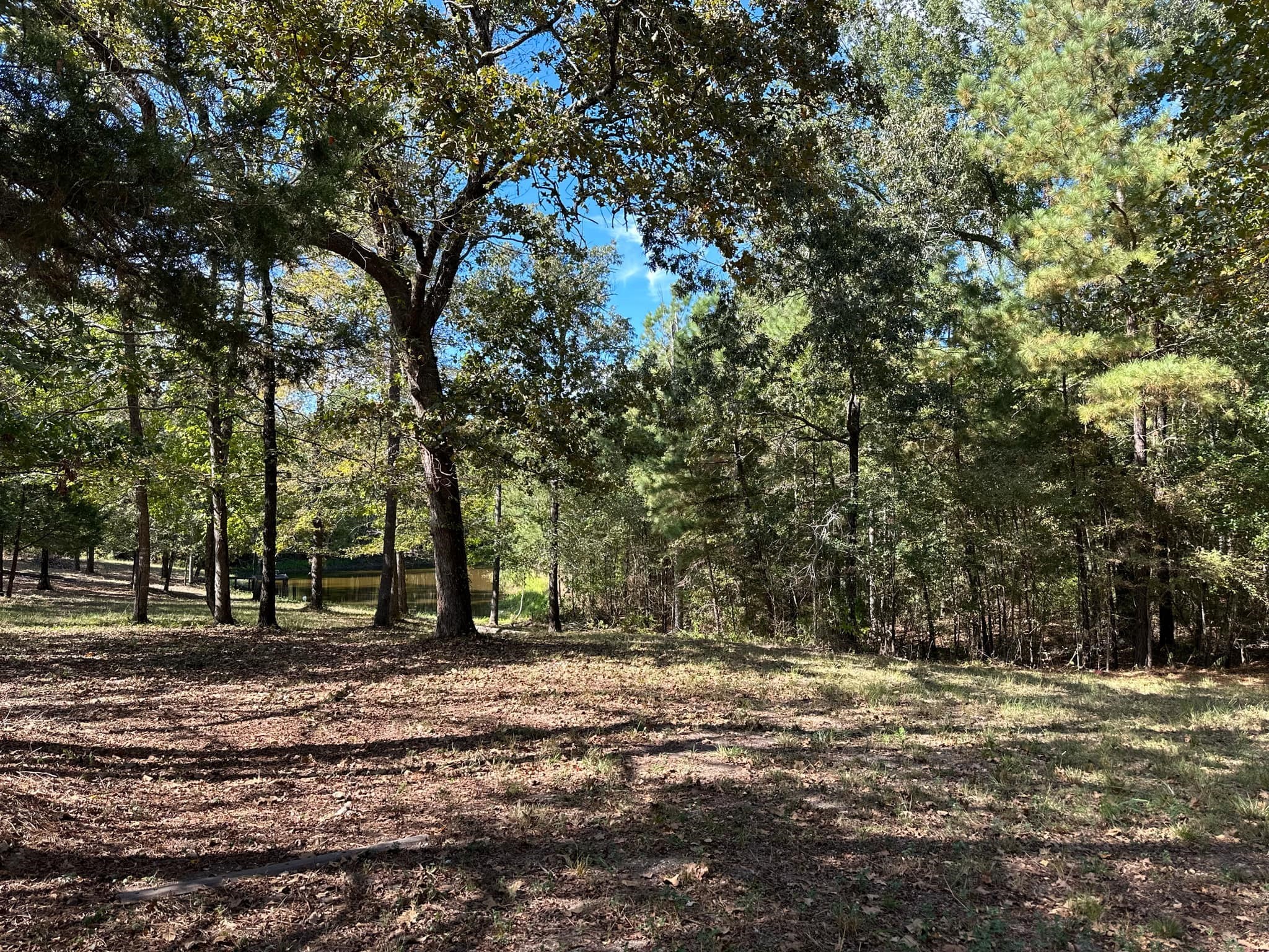 11420 County Road 420 Tyler TX 75704