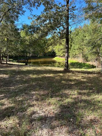 11420 County Road 420 Tyler TX 75704