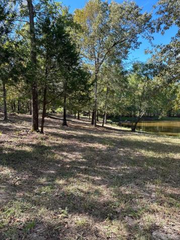 11420 County Road 420 Tyler TX 75704