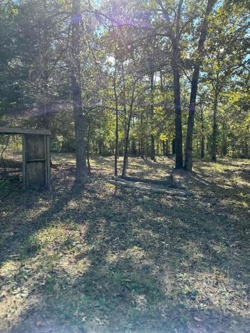 11420 County Road 420 Tyler TX 75704