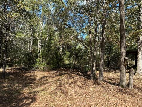 11420 County Road 420 Tyler TX 75704