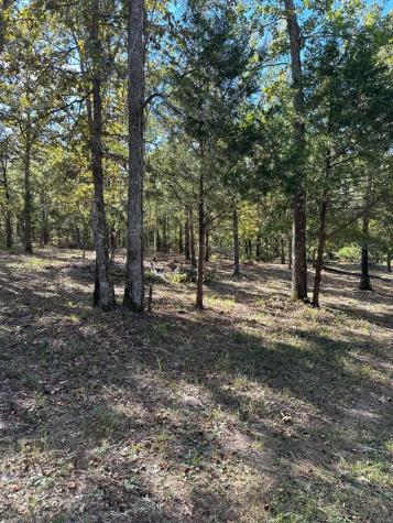 11420 County Road 420 Tyler TX 75704