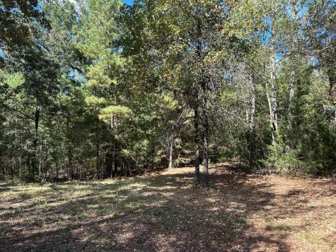 11420 County Road 420 Tyler TX 75704