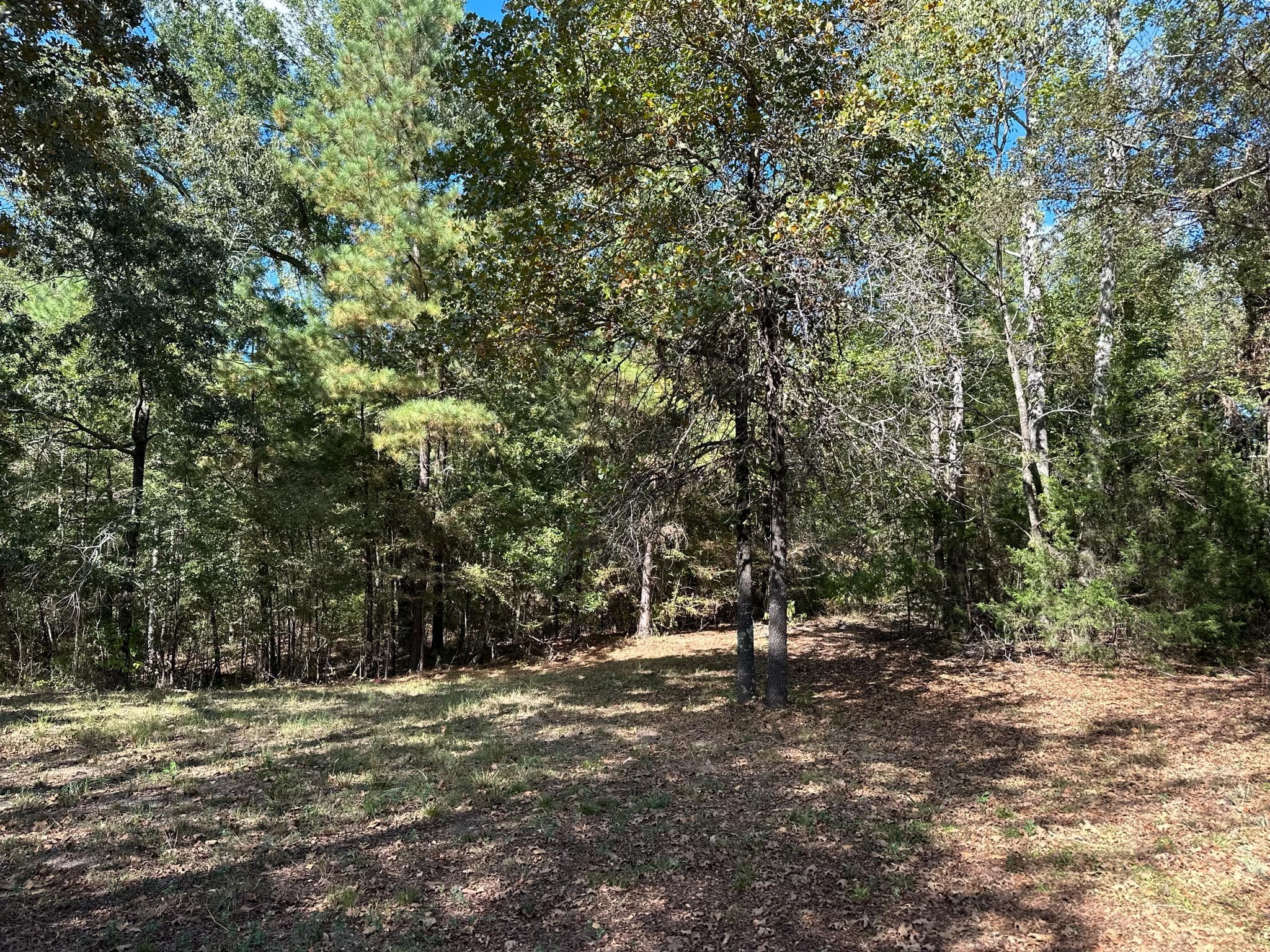 11420 County Road 420 Tyler TX 75704