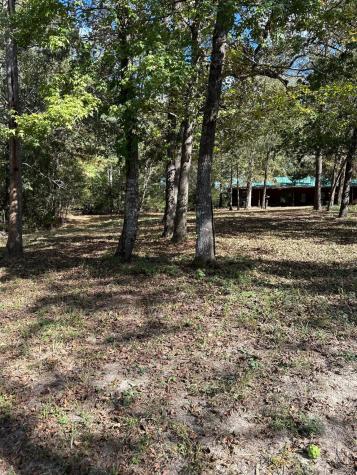 11420 County Road 420 Tyler TX 75704