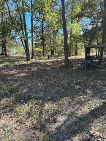 11420 County Road 420 Tyler TX 75704