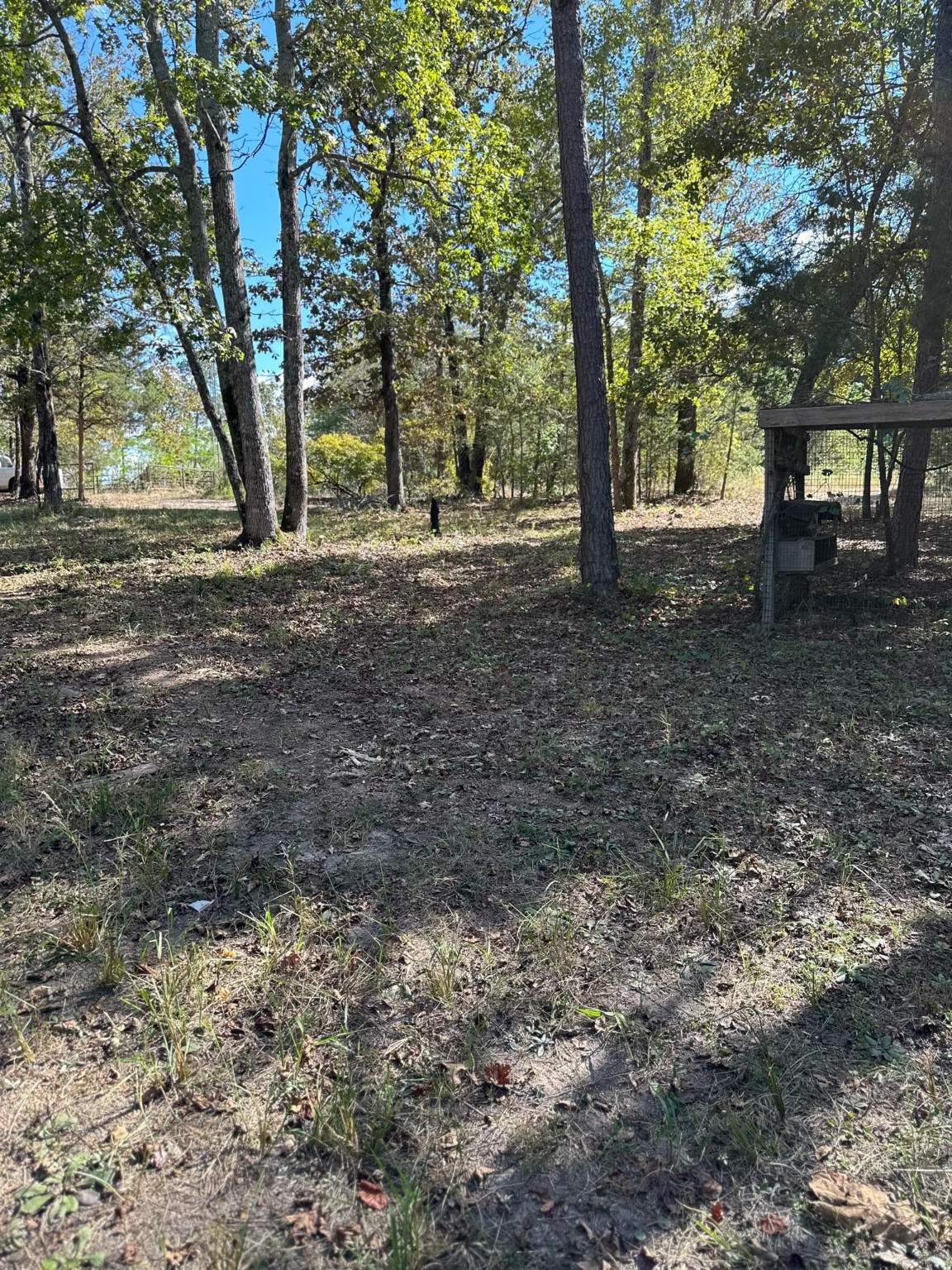 11420 County Road 420 Tyler TX 75704