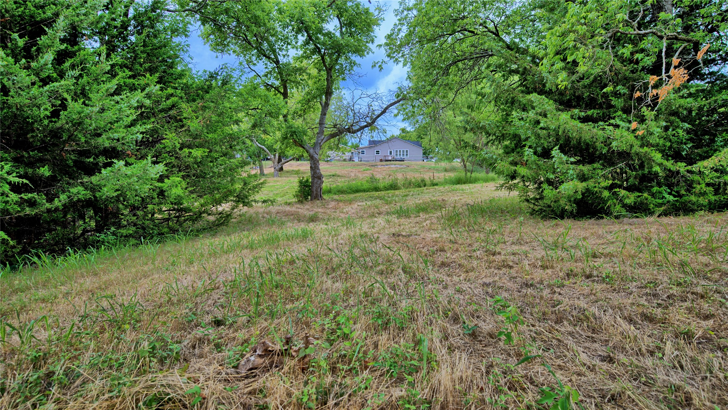 301 Spring Street Forestburg TX 76239
