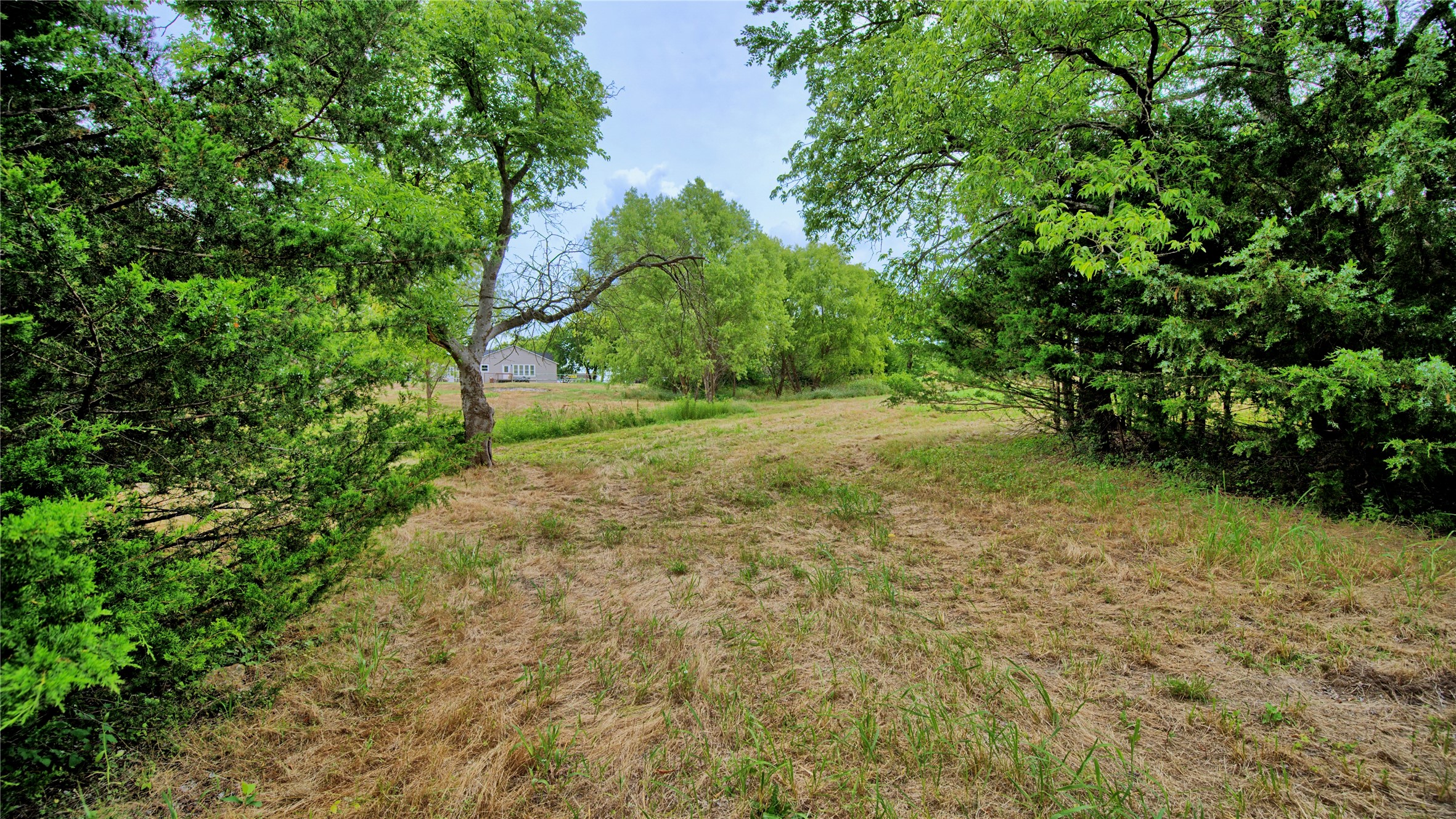 301 Spring Street Forestburg TX 76239