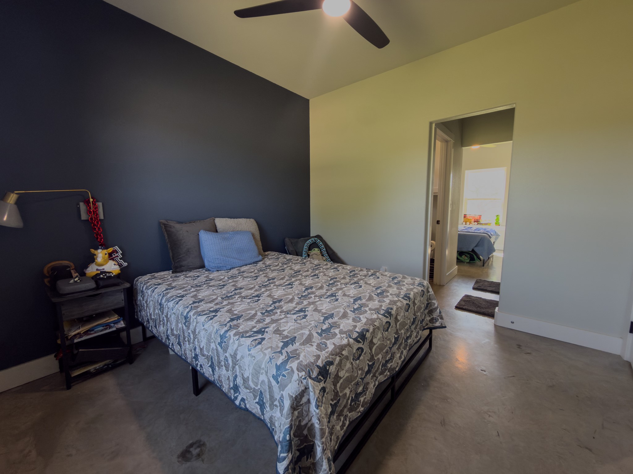1789 County Road 147 Albany TX 76430