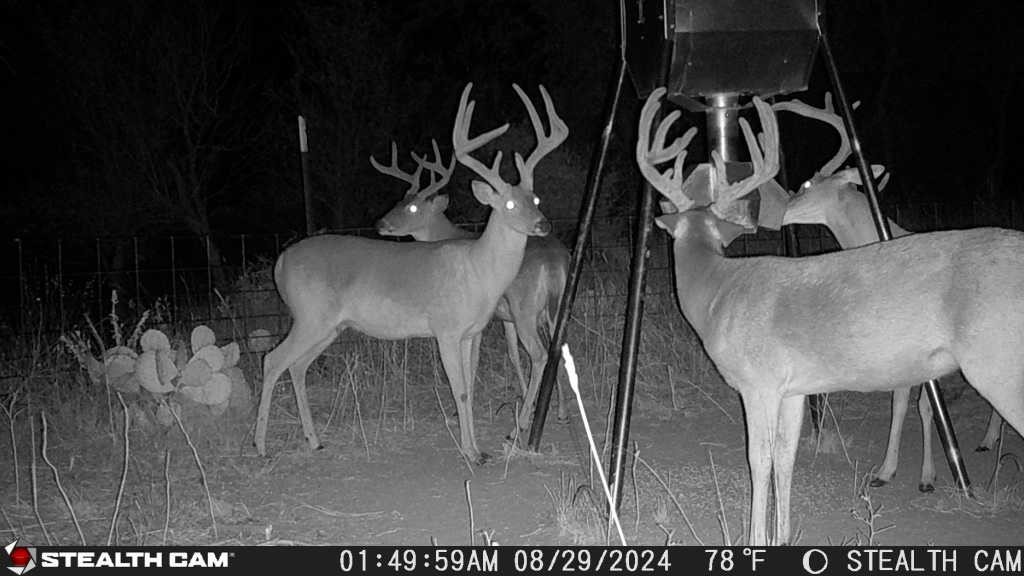 1789 County Road 147 Albany TX 76430