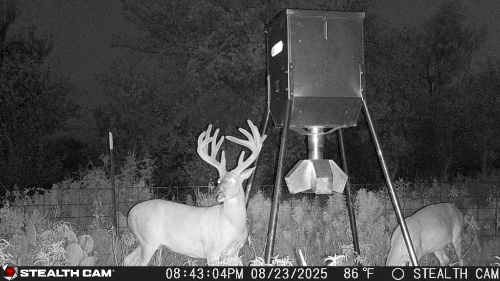 1789 County Road 147 Albany TX 76430