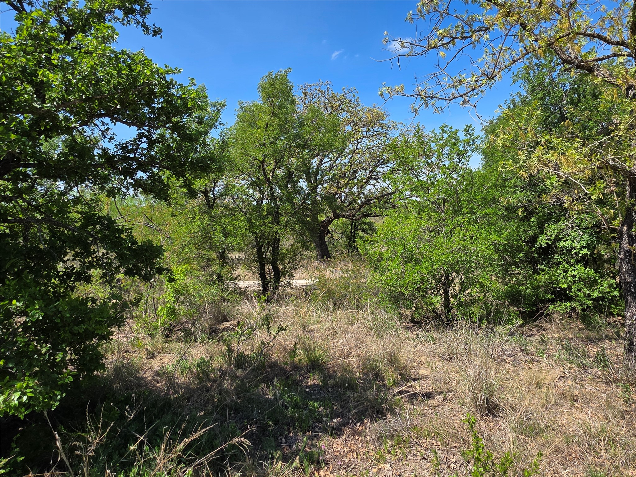 3925 County Road 216 San Saba TX 76877