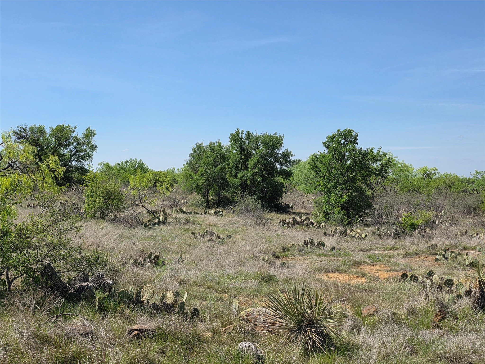 3925 County Road 216 San Saba TX 76877