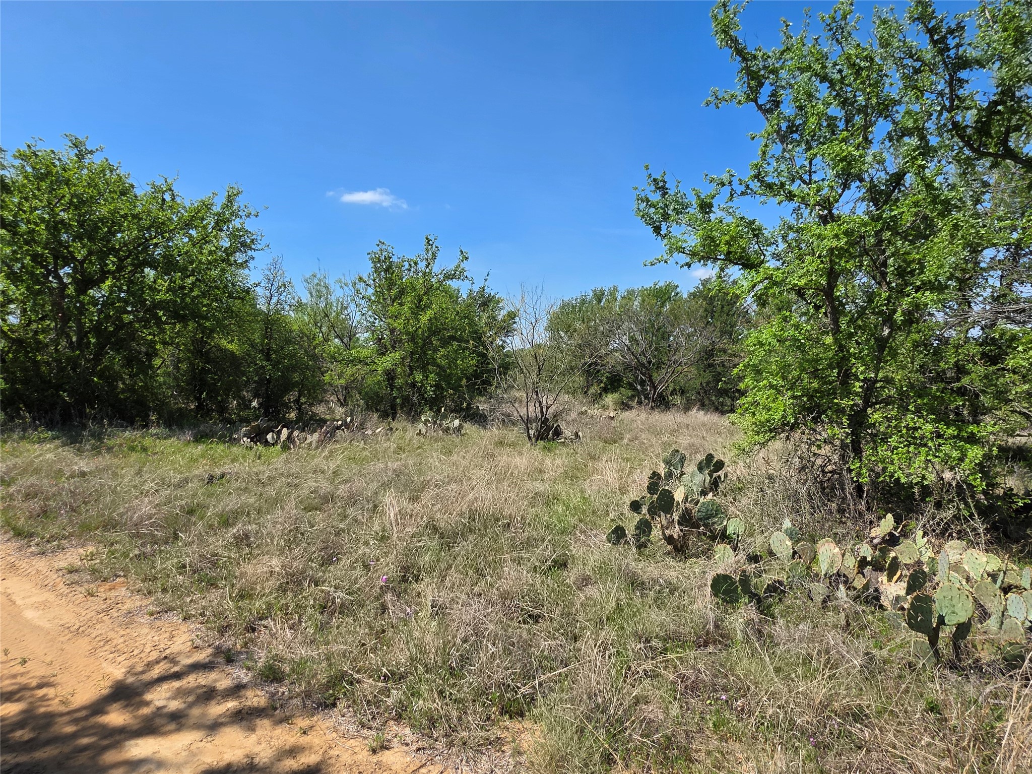 3925 County Road 216 San Saba TX 76877