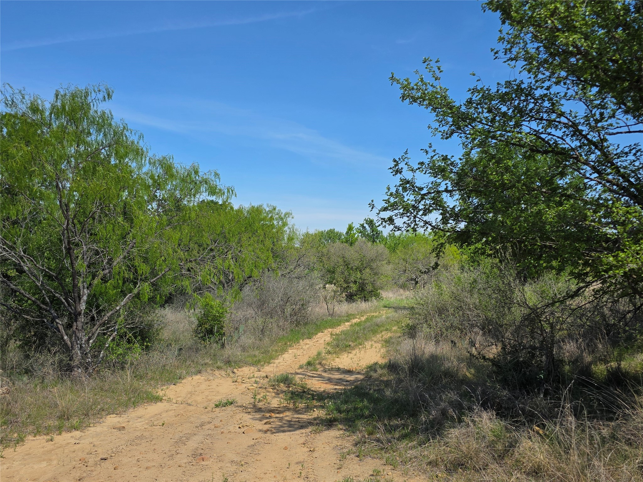3925 County Road 216 San Saba TX 76877