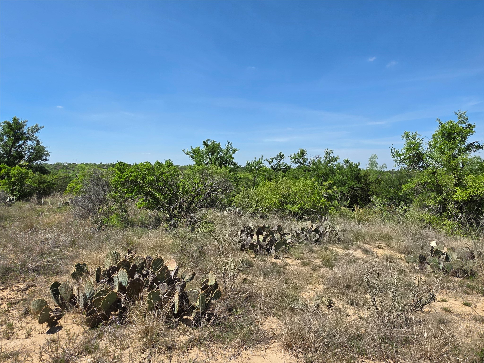 3925 County Road 216 San Saba TX 76877