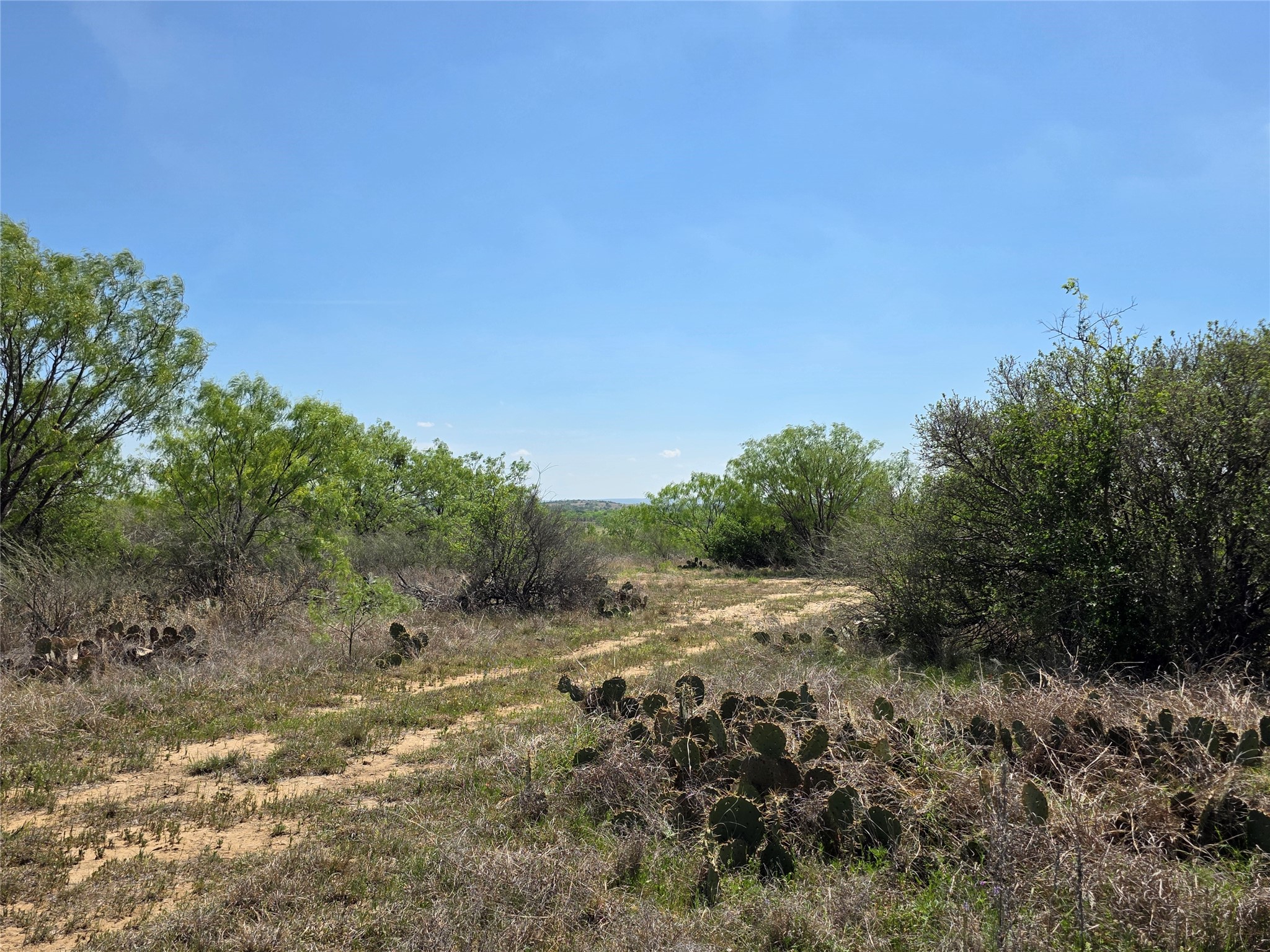 3925 County Road 216 San Saba TX 76877