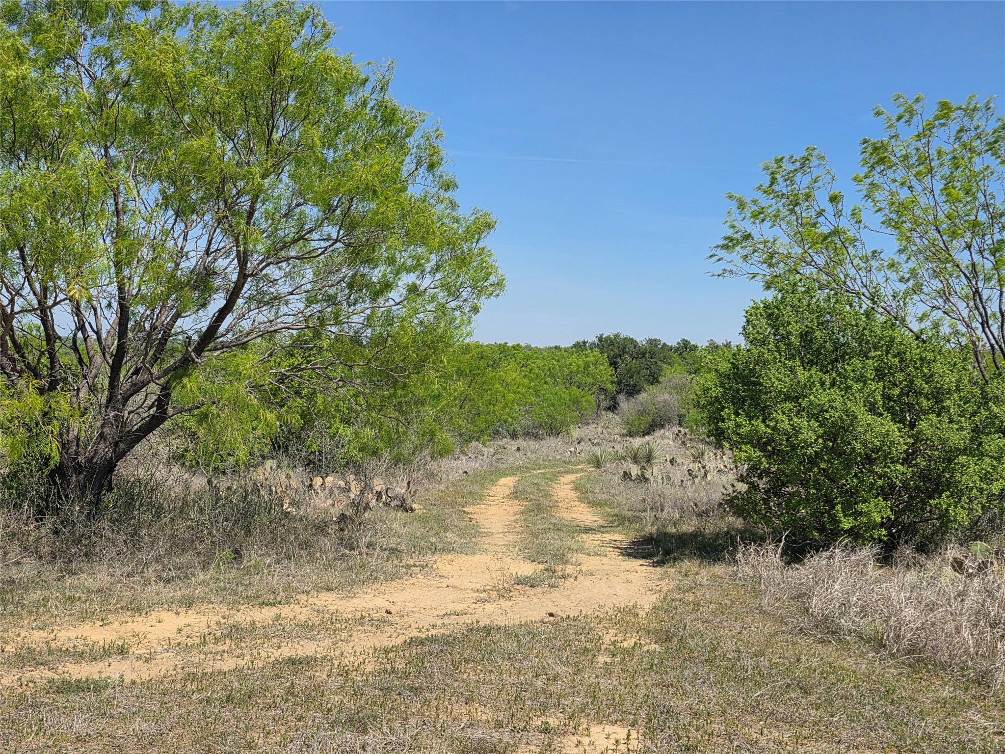 3925 County Road 216 San Saba TX 76877