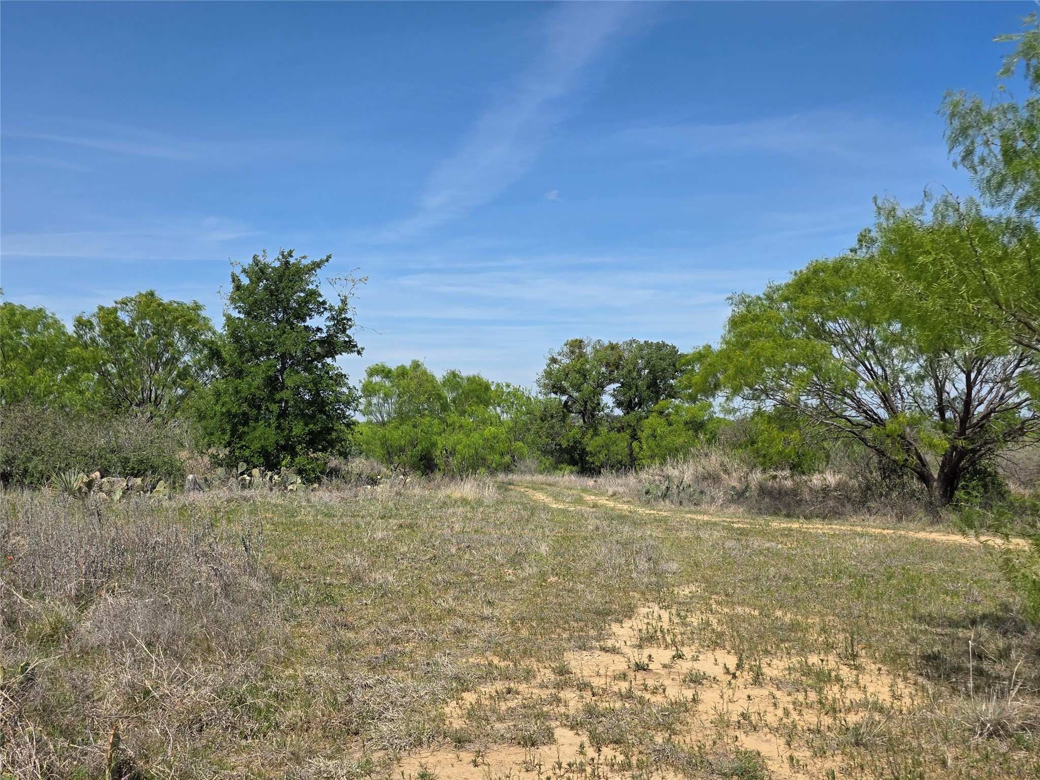 3925 County Road 216 San Saba TX 76877