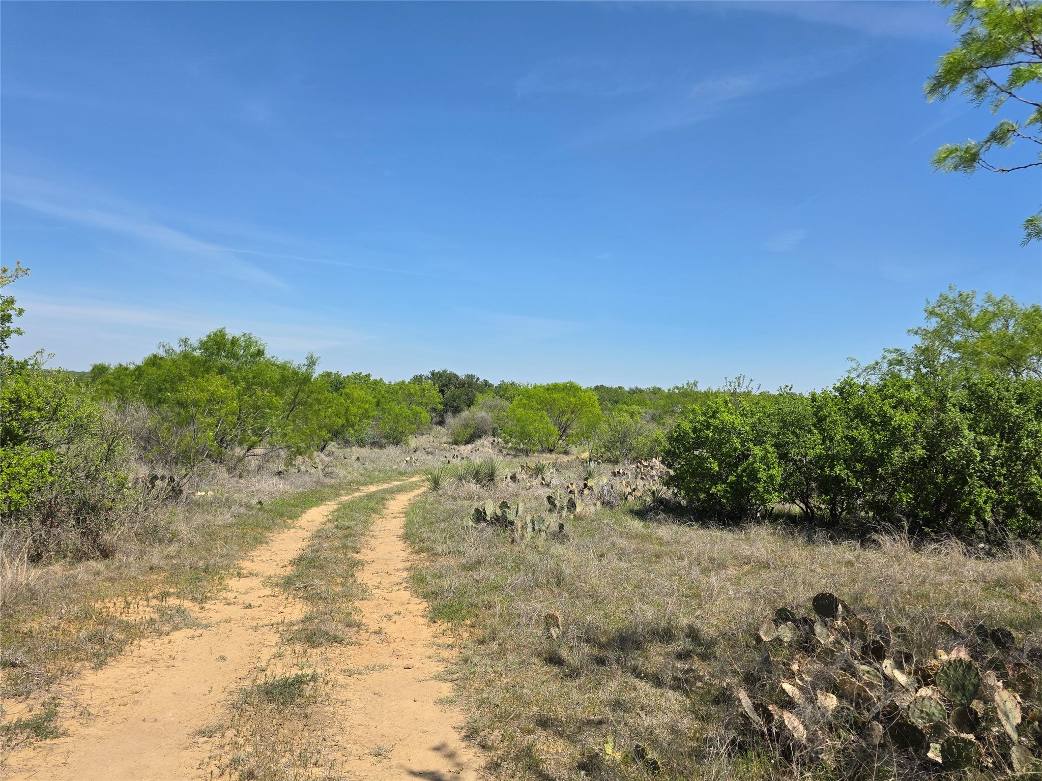 3925 County Road 216 San Saba TX 76877