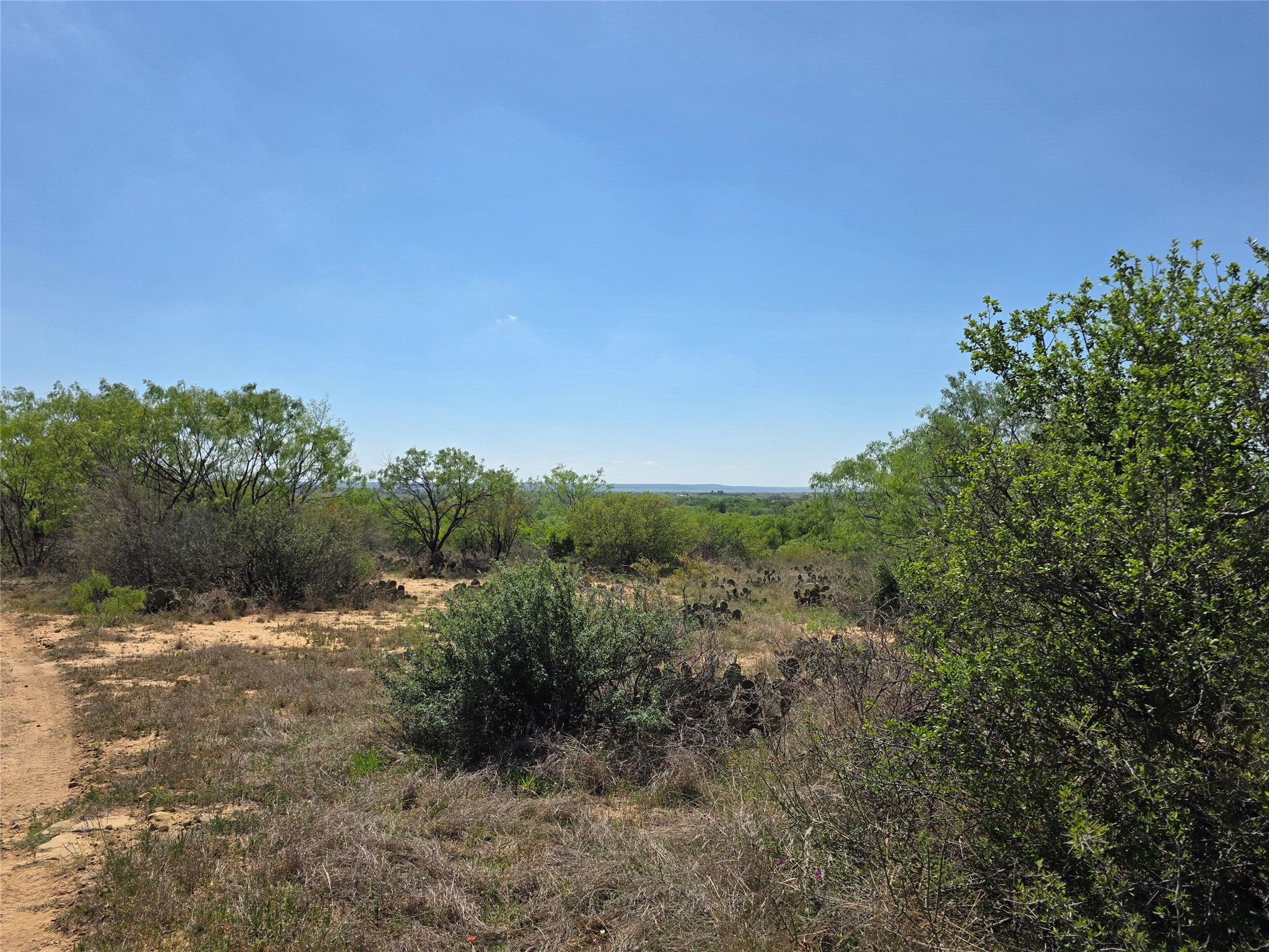 3925 County Road 216 San Saba TX 76877
