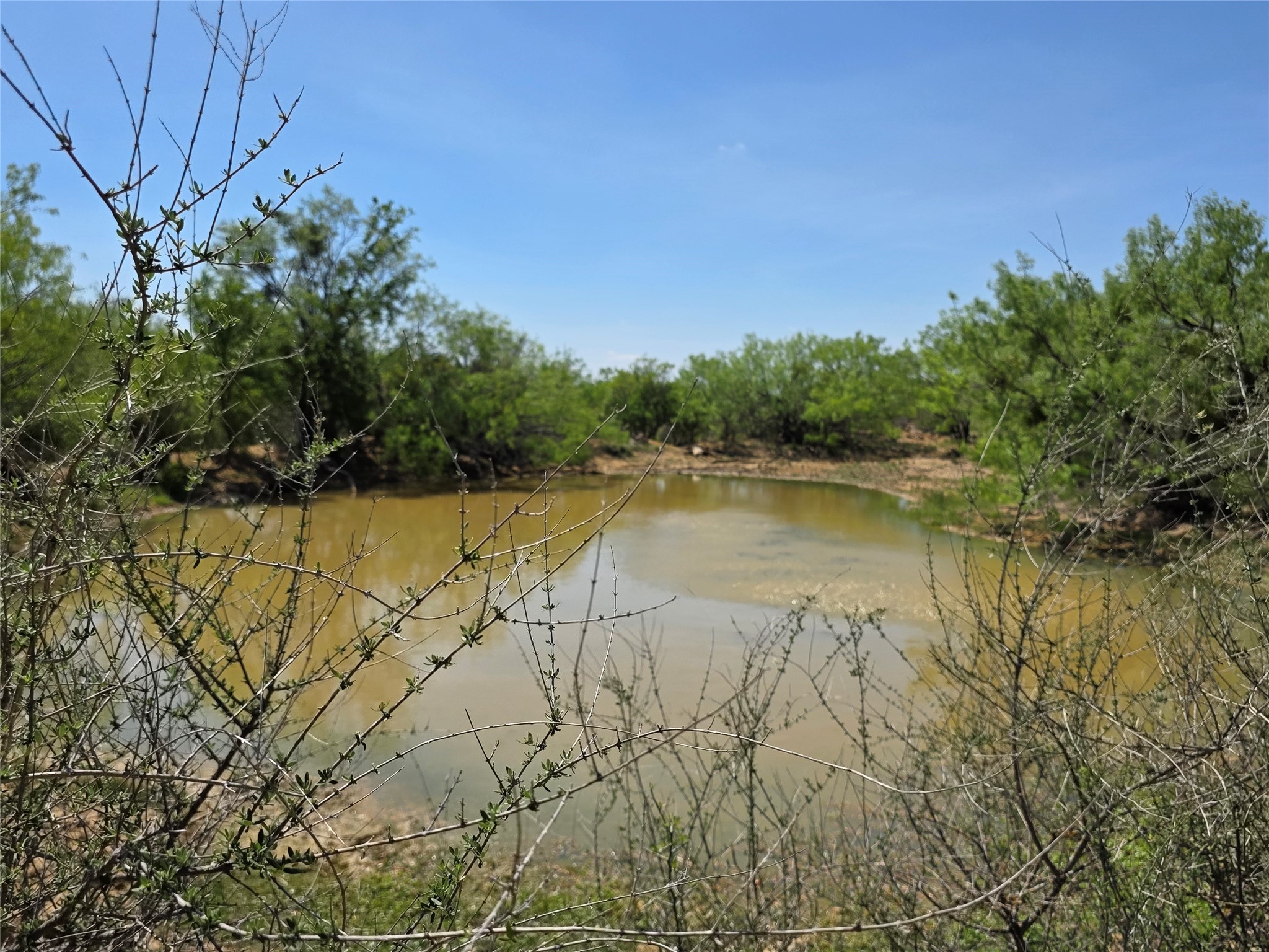 3925 County Road 216 San Saba TX 76877