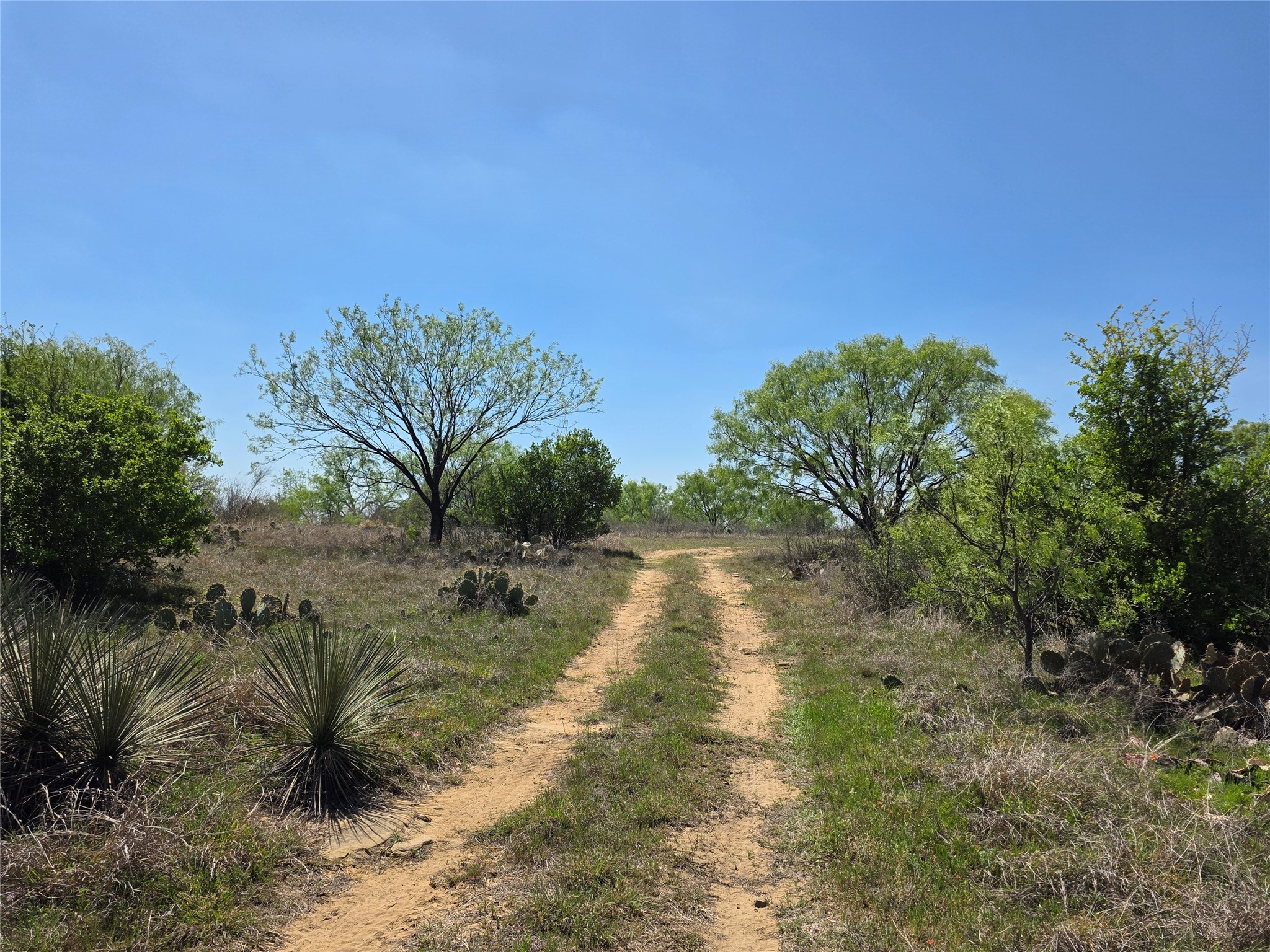 3925 County Road 216 San Saba TX 76877