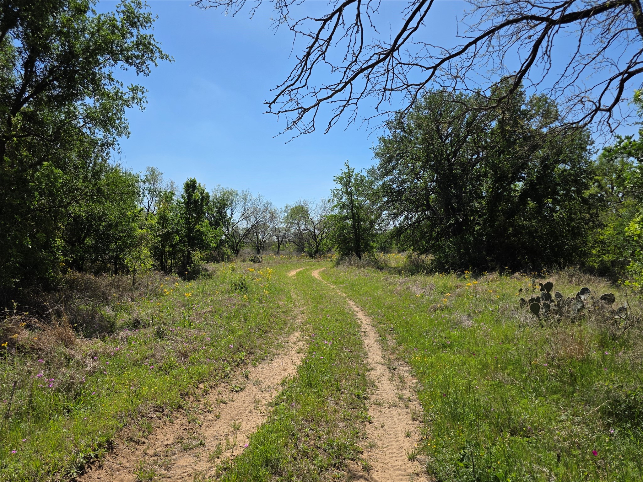 3925 County Road 216 San Saba TX 76877