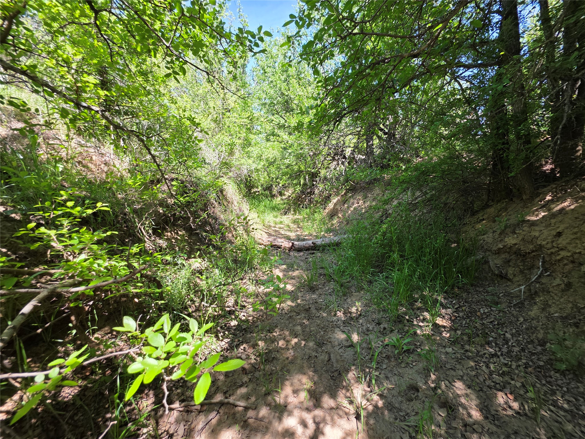 3925 County Road 216 San Saba TX 76877