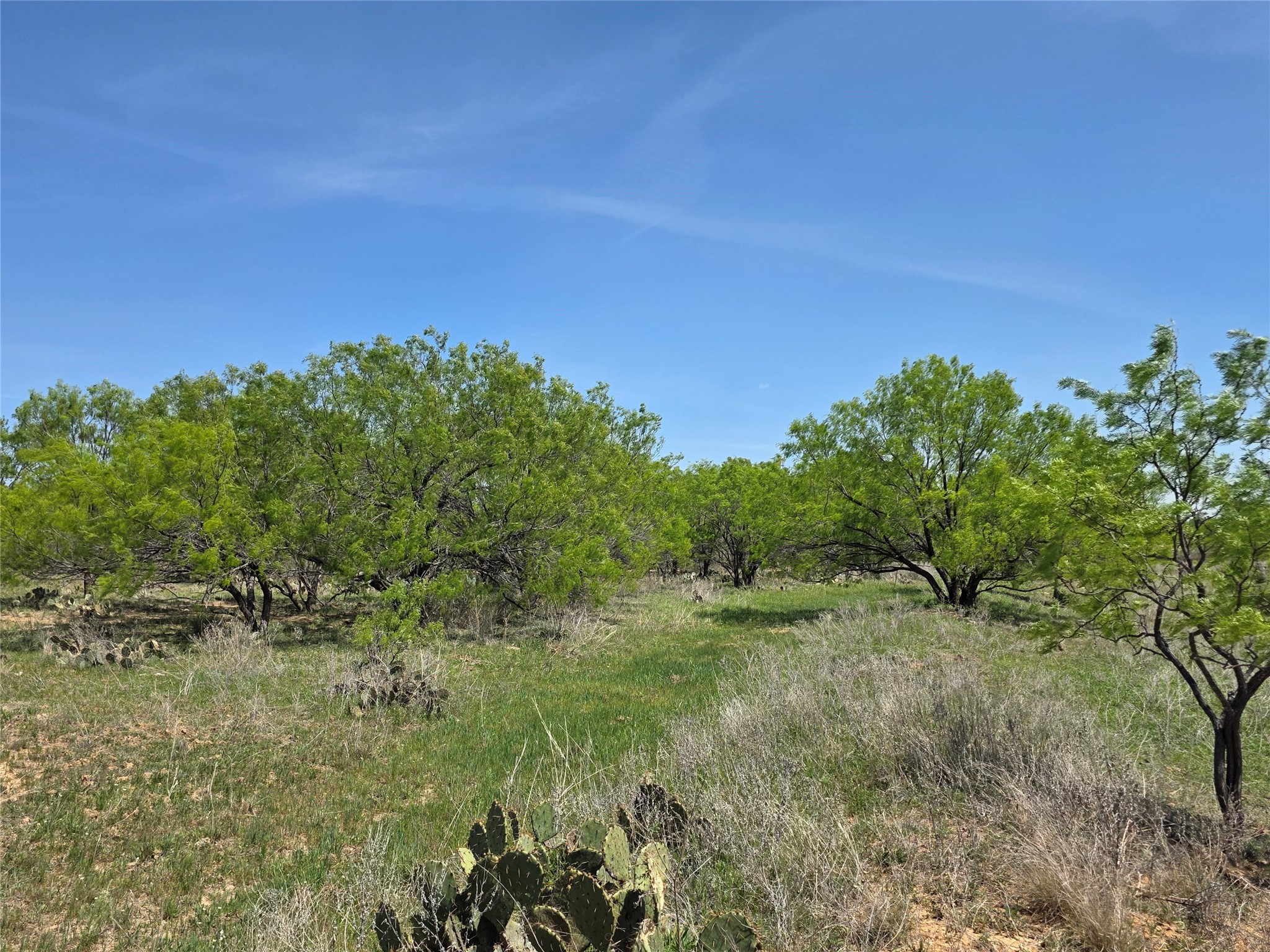 3925 County Road 216 San Saba TX 76877
