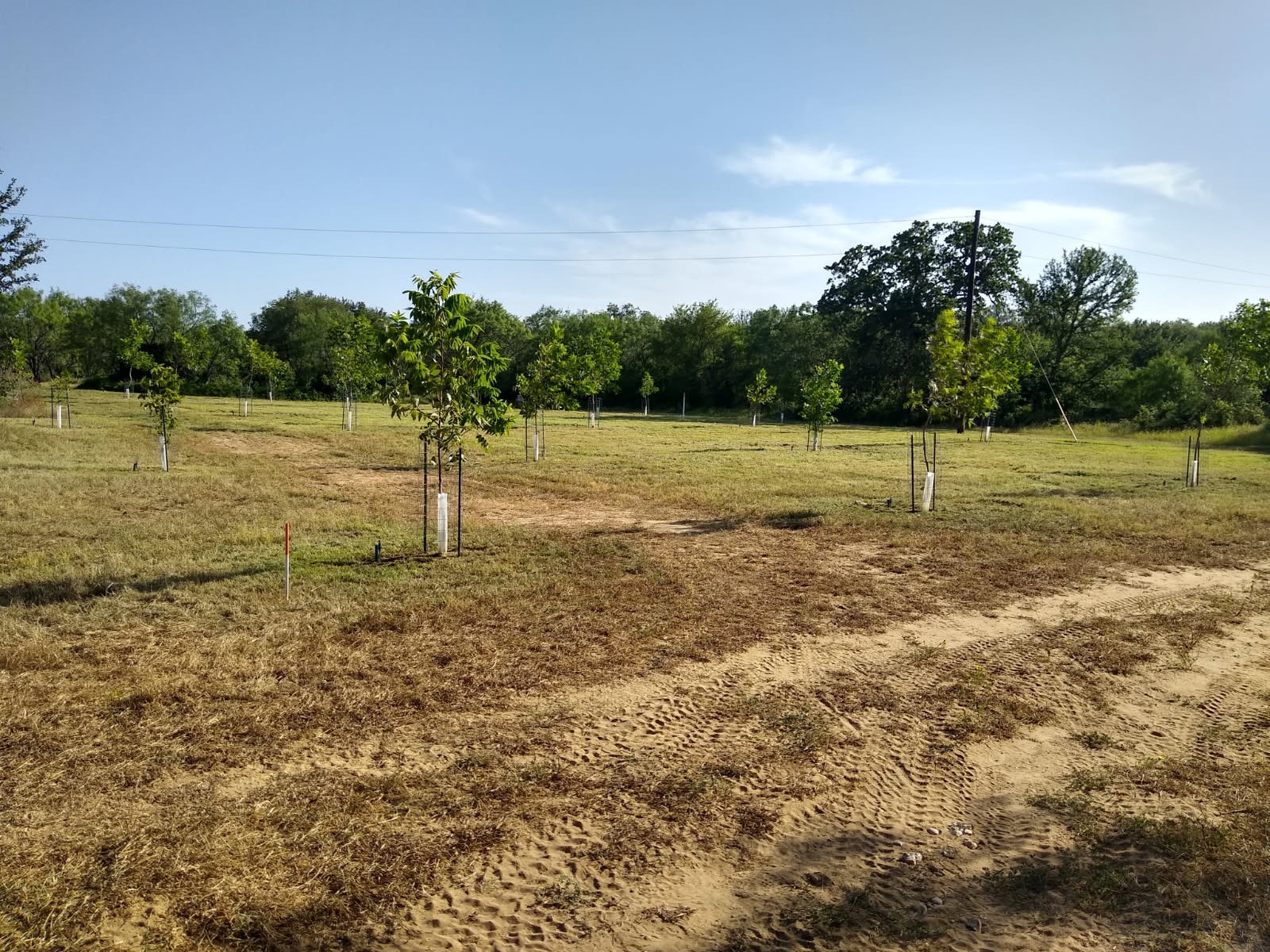 3925 County Road 216 San Saba TX 76877